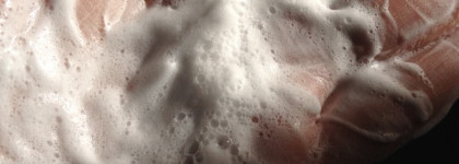 Два средства от Shiseido - Мягкая Очищающая пенка и Балансирующий Софтнер серии Ibuki