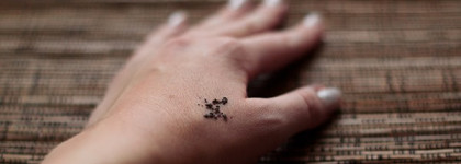 Yves Rocher 100% Natural Origin Loose Pearls – Рассыпчатые тени для век «Минералы & Растения»  - оттенок "Дымчатый перламутр"