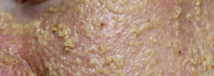 Вкусности от Lush: маски для лица + один сахарный красавец