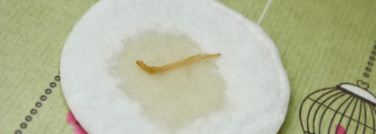 Как я провела это лето. Косметическая диета для чувствительной кожи. Часть 2: Тонизирование и защита