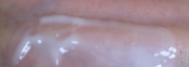 Летние любимчики