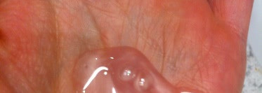 Сексуальные волосы? Sexy Hair шампунь для объема Big Sexy Hair Big Volume Shampoo и шелковистый кондиционер для нормальных волос Silky Sexy Hair Conditioner Lite for Fine/Normal Hair