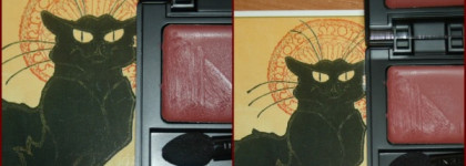 Моя идеальная помада: Inglot Freedom System Matte Lipstick №510