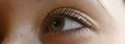 Фаворитка: тушь Max Factor Clump Defy by False Lash Effect Black