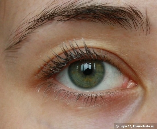 Eveline Cosmetics Sos Lash Booster with Argan Oil Комплексная сыворотка для ресниц 5 в 1 с маслом аргана