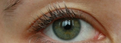 Eveline Cosmetics Sos Lash Booster with Argan Oil Комплексная сыворотка для ресниц 5 в 1 с маслом аргана