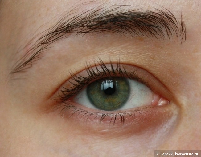 Eveline Cosmetics Sos Lash Booster with Argan Oil Комплексная сыворотка для ресниц 5 в 1 с маслом аргана