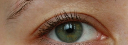 Eveline Cosmetics Sos Lash Booster with Argan Oil Комплексная сыворотка для ресниц 5 в 1 с маслом аргана