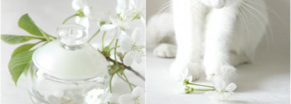 Вуаль Noa Cacharel