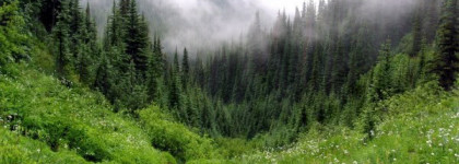 Моя Большая Любовь-(untitled) Maison Martin Margiela для мужчин и женщин