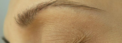 Мечты сбываются: Long-Wear Cream Shadow в цветах velvet plum, shore, sandy gold и Metallic Long-Wear Cream Shadow в цвете brown metal