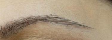 Мечты сбываются: Long-Wear Cream Shadow в цветах velvet plum, shore, sandy gold и Metallic Long-Wear Cream Shadow в цвете brown metal