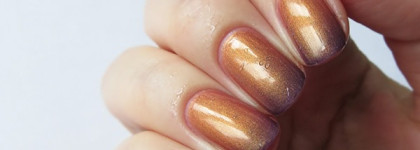 Осенний термолак Dance Legend Thermo №165