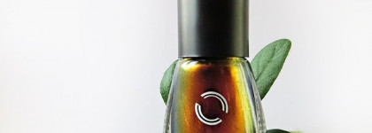 Лак для ногтей Dance Legend Chameleon Collection №094 "Boo"