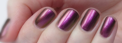 Три хамелеона от Dance Legend