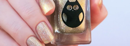 Anna Gorelova by Dance Legend 03 Золотая рыбка