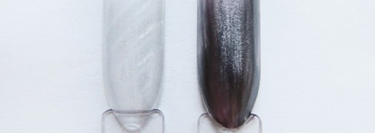 Больше магнетизма с Dance Legend Top Magnetic