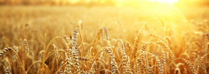 Мир запахов с Demeter. Часть 1-ая. Стихии