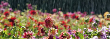 Мир запахов с Demeter. Часть 2-ая. Приятное