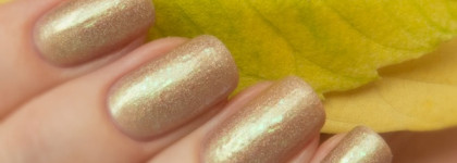 Anna Gorelove By Dance Legend Summer Дурман