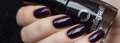 Два космических желе - Dance Legend Sparky