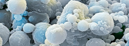 Новая линейка средств Estee Lauder Revitalizing Supreme +