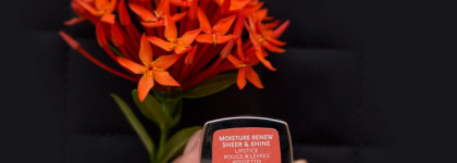 Мой любимый цвет, мой любимый размер: Rimmel Moisture Renew Sheer & Shine 600 Spin All Spring