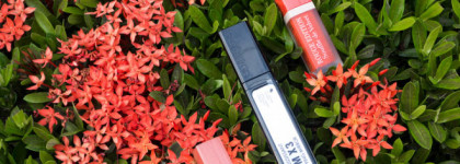 Три эффектных средства от Bourjois + проба градиента на губах