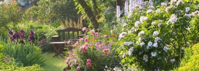 Dkny Be Delicious Crystallized Edp. Современный сад