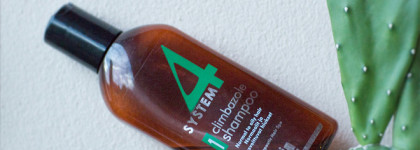 System 4. Перезагрузка. Жизнь моей кожи головы до и после