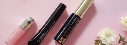 Тихое знакомство с громкими продуктами