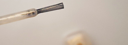 Солнечный Zoya Erika