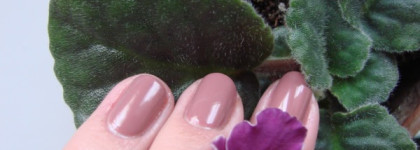 Сентябрь «в троечка»