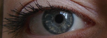 Нежные тени Shiseido Luminizing Satin Eye Color Trio BL 215