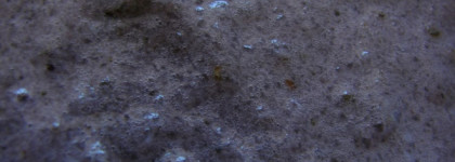 Импортозамещение 1.1