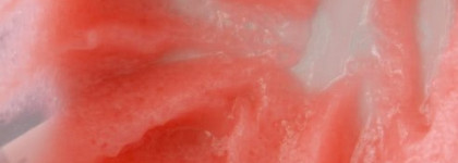 Очищающие вкусняшки для тела