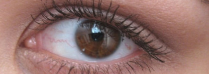 Мокко и коралл