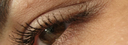 Мокко и коралл