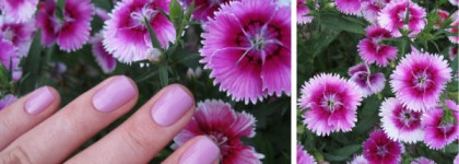 Заверните мне с собой порцию весны этим летом. Chanel Le Vernis Nail Colour 615 Sweet lilac