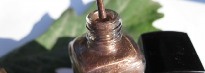 Золотая осень с летним Chanel Le Vernis #697 Terrana