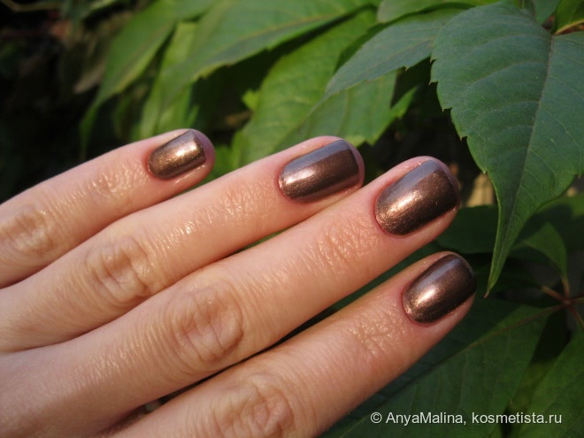 Золотая осень с летним Chanel Le Vernis #697 Terrana