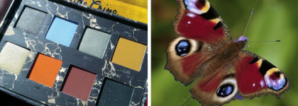 Эффект бабочки: Lime Crime Venus II