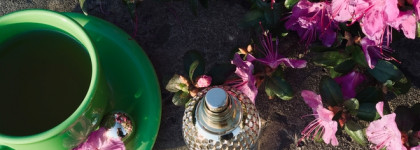 Каждая из нас немного Элизабет Беннет с Aqua Allegoria Teazzurra Guerlain