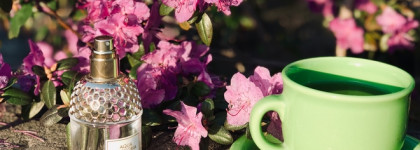 Каждая из нас немного Элизабет Беннет с Aqua Allegoria Teazzurra Guerlain
