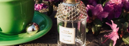 Каждая из нас немного Элизабет Беннет с Aqua Allegoria Teazzurra Guerlain