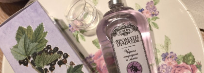 Brocard Ароматы Природы EDT Чёрная смородина и мята: room-spray или полноценная туалетная вода?