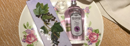 Brocard Ароматы Природы EDT Чёрная смородина и мята: room-spray или полноценная туалетная вода?