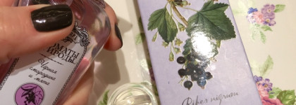 Brocard Ароматы Природы EDT Чёрная смородина и мята: room-spray или полноценная туалетная вода?