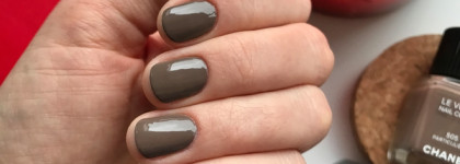 Красота в простоте: Chanel Le Vernis Nail Colour #505 Particuliere