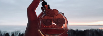 Что может быть слаще сахара? Белые цветы и ваниль Valentino Valentina EDP